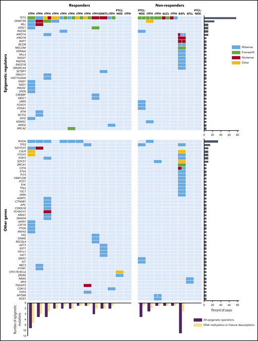 Relationship between somatic mutations and response to oral azacytidine and romidepsin. The chart compares and contrasts responders and nonresponders and epigenetic vs nonepigenetic genes. Each row represents a gene, and each column represents a patient. The number of separate colored boxes in a given gene/patient box denotes the number of mutations in that gene. ALK-ALCL, ALK-negative anaplastic large cell lymphoma; ATLL, adult T-cell leukemia/lymphoma; EATL, enteropathy-associated T-cell lymphoma; ENKTCL, extranodal natural killer (NK)/T-cell lymphoma; NOS, not otherwise specified.