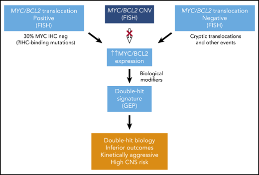 Identifying double-hit lymphoma biology using diagnostic tools. CNS, central nervous system; CNV, copy number variation; GEP, gene expression profiling.