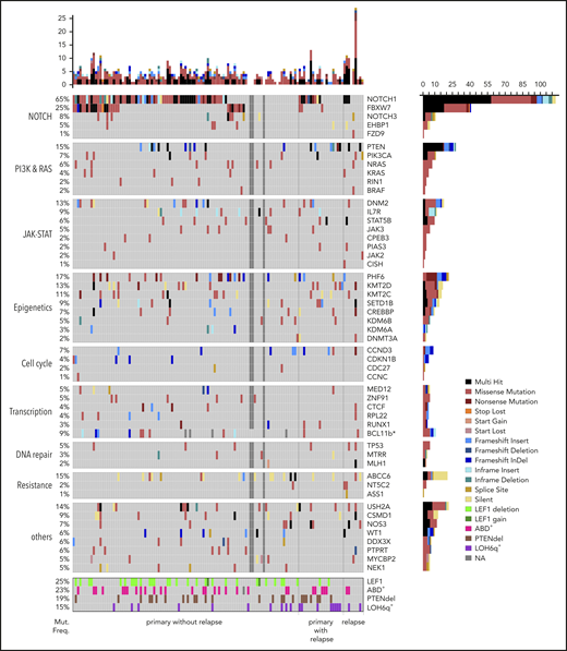 Mutational spectrum of T-LBL. An overview of recurrently mutated genes (VAF cutoff, >10%) and alterations in T-LBL. The samples are sorted into 3 sections: primary samples from relapse− patients, primary samples from relapse+ patients, and relapsed cases, as indicated at the bottom of the panel. The frequency of mutations (Mut. Freq.) and name of the pathways is indicated to the left. The names of the genes and the type of mutations are indicated on the right. The number of mutations identified by targeted sequencing is displayed at the top of the plot as bar plots. TRG rearrangements (ABD), PTEN deletions (PTENdel), and LOH6q alterations are displayed in a subpanel below. *BCL11b was not part of the targeted panel, but was analyzed by Sanger sequencing. Samples that failed in targeted sequencing are represented in dark gray boxes.