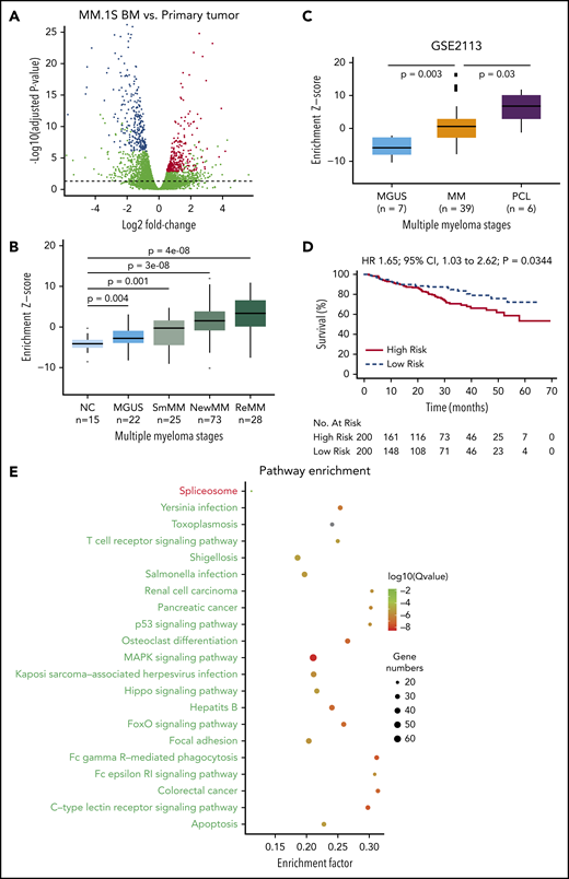 Identification and validation of the MM progression signature. (A) Differential expression analysis was performed by comparing samples from distant BM sites and primary sites in MM.1S model using DESeq2 (FDR <5%). Differentially expressed genes were defined by an FDR cutoff of 5%, as indicated by the horizontal dashed line. The top 300 up- or downregulated genes with highest significance were defined as a progression signature, highlighted in blue (downregulated) or red (upregulated). (B) Association of the progression signature to MM progression and relapse. A Z score was used to quantify the enrichment level of the signature for each gene expression profile in data set GSE6477 (see “Methods”). Distributions were compared between MM stages during disease progression to healthy donors, using Wilcoxon rank sum test. Number of samples in each group and P values are shown. (C) Association of the progression signature to MM progression and aggressive disease. A Z score was used to quantify the enrichment level of the signature for each gene expression profile in data set GSE2113. Distributions were compared between MM stages during disease progression, using Wilcoxon rank sum test. Number of samples in each group and P values are also shown. (D) The progression signature acts as a predictor of overall survival in MM patients. Using a public data set of patient gene expression (GSE24080), the top 200 patients with the highest enrichment of progression signature were defined as a high-risk group, while those with the lowest enrichment were defined as a low-risk group. Statistical comparison was performed by log-rank test. (E) Pathway enrichment analysis of differentially expressed genes in MM.1S model. R package was used to assess significance of KEGG pathways. Top repressed or activated pathways were shown in green or red, respectively. The full list of significant pathways can be found in supplemental Table 5. CI, confidence interval; HR, hazard ratio; MAPK, mitogen activated protein kinase; NC, negative control; NewMM, newly diagnosed MM; PCL, plasma cell leukemia; R, receptor; ReMM, relapsed MM; SmMM, SMM.