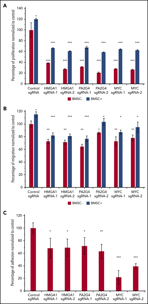 Loss of HMGA1 and PA2G4 inhibited proliferation, migration, and adhesion potential of MM cells in vitro. (A) MM.1S cells infected with nontargeting control sgRNAs or HMGA1, PA2G4, and MYC targeting sgRNAs were cultured with and without BMSCs from relapsed/refractory MM patients for 48 hours. Proliferation rates were normalized to control sgRNA–infected cells cultured without BMSCs, and cells with loss of HMGA1, PA2G4, or MYC exhibited significantly reduced proliferation. (B) BMSCs were seeded 1 day ahead in the lower chamber of 96-transwell plate. MM.1S cells transduced as described in panel A were seeded in the upper chamber for 4 hours. The percentage of cells that migrated to the lower chamber was normalized to control cells without BMSCs, and cells with loss of HMGA1, PA2G4, or MYC exhibited significantly reduced migration toward BMSCs. (C) MM.1S cells transduced as described in panel A were prelabeled with Calcein-AM and cocultured with preseeded BMSCs for 2 hours. The percentage of cells that adhered to BMSCs was normalized to control sgRNA–infected cells, and loss of HMGA1, PA2G4, or MYC compromised the adhesion rates significantly. Two experiments from 2 independent infections were performed, and 1 representative result is shown. Error bars indicate standard deviation. *P < .05, **P < .01, ***P < .001.