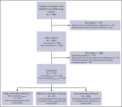 Patient flow diagram of the included patients, subcohorts, and subgroups. AEA, asparaginase enzyme activity; asp., asparaginase; IR, intermediate risk; SR, standard risk.