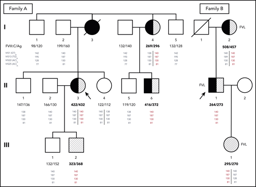 Pedigrees of families A and B. Probands are indicated by arrows. Family members who have experienced DVT and/or PE are shown as closed or half-closed symbols. Individuals with markedly elevated FVIII levels (FVIII:C >250%) are hatched, whereas carriers of the FV Leiden mutation (FVL) are indicated next to the symbols of family B. FVIII:C and FVIII antigen (FVIII:Ag) levels expressed in percentages are reported below each individual. Phased genotypes for the microsatellite markers located in introns (IVS) 1, 13, 22, and 25 of the F8 gene are also reported below each individual. Microsatellite alleles are identified by the respective PCR product sizes in bp. The haplotype shared by all family members with markedly elevated FVIII levels (140-187-130-81) is shown in red. Note that although the duplication is always associated with this haplotype, the reverse is not true, and several family members have inherited copies of the same haplotype without the duplication (shown in gray as all other haplotypes that are not associated with the duplication).