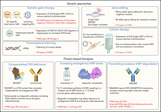 Potential avenues to enrich the arsenal of treatment options for VWD. Examples of potential novel genetic- or protein-based strategies for the management of VWD are highlighted. Some approaches could be used to serve all VWD patients, whereas others will be type specific. AAV, adeno-associated virus; ECs, endothelial cells; ECFCs, endothelial colony forming cells (also referred to as blood outgrowth endothelial cells); ECMO, extracorporal membrane oxygenation; IL-11, interleukin-11; LVAD, left ventricular assist device; TALENs, transcription activator-like effector nucleases; VWs, von Willebrand syndrome. Portions of this figure were created using Biorender.com.