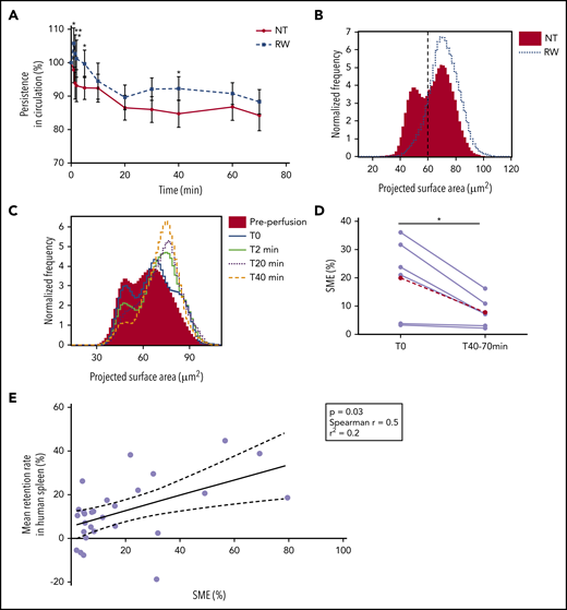 SMEs are rapidly cleared when perfused through human spleen ex vivo. (A) Kinetics (means ± standard errors of the mean) of the normalized concentration in the perfusate of human spleen ex vivo (n = 7) of 14 RBC concentrates stored for 35 to 42 days and rejuvenated (RW; dashed line) or not (NT; solid line). (B) Representative normalized frequency plot of the projected surface area of RBCs stored for 42 days before (solid red histogram) and after (dotted line) rejuvenation. Dashed vertical line defines the gating cutoff for SMEs. (C) Representative frequency plot of projected surface area of stored RBCs (37 days) before (red histogram) and at different time points after perfusion through human spleen ex vivo (0 minutes, solid blue line; 2 minutes, solid green line; 20 minutes, dotted black line; and 40 minutes, dashed orange line). (D) Proportion of SMEs at the beginning (T0) and mean proportion of SMEs at all observations between 40 and 70 minutes (T40-70min) of perfusion through human spleen ex vivo (n = 6; red dashed line represents mean). (E) Correlation between mean retention rate in human spleen perfused ex vivo and proportion of SMEs in the RBC concentrate before transfusion (n = 28; P = .03; Spearman r = 0.5; r2 = 0.2). *P < .05, **P < .01 by Sidak multiple comparisons test comparing, at each time point, the persistence in circulation of rejuvenated vs nontreated RBCs (A) or by paired Student t test comparing proportion of SMEs at T0 vs T40-70min (D).