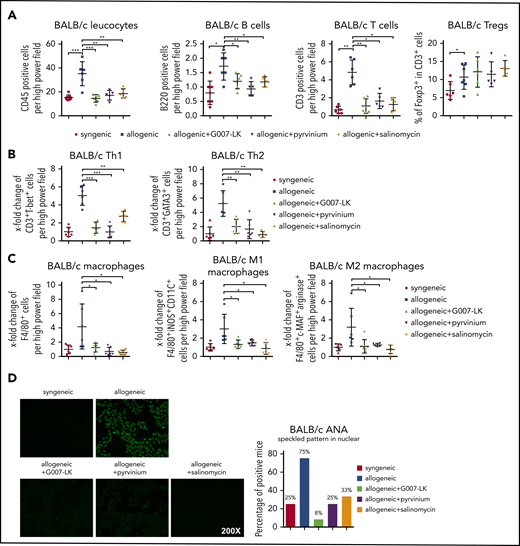 Treatment with the WNT inhibitor G007-LK, pyrvinium, or salinomycin prevents leukocyte infiltration in cGVHD-induced dermal fibrosis in the B10.D2 (H-2d) → BALB/c (H-2d) model. (A) WNT inhibitors effectively prevented the infiltration of leukocytes, particularly B cells and T cells, in murine skin after allogeneic transplantation without changing regulatory T cells. (B) Treatment with WNT inhibitors reduced Th1 and Th2 cell infiltration in murine skin after allogeneic transplantation. (C) WNT inhibitors reduced total macrophage, M1 macrophage, and M2 macrophage infiltration in allogeneic murine skin. (D) Representative immunofluorescence images of HEp-2 cells incubated with murine serum for ANA detection (original magnification ×200; left panel). Percentages of ANA+ mice (n = 6 mice per group; right panel). *P < .5; **P < .05; ***P < .01.