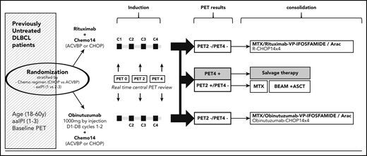 Study design. ACVBP, doxorubicin (75 mg/m2 at day 1), prednisone (60 mg/m2 day 1 to day 5), cyclophosphamide (1200 mg/m2 at day 1), vindesine (2 mg/m2 at days 1 and 5) and bleomycin (10 mg at days 1 and 5); BEAM, carmustine 300 mg/m2 at day −6; etoposide 200 mg/m2 from days −6 to −3; cytarabine 200 mg/m2 every 12 hours from days −6 to −3; melphalan 140 mg/m2 at day −2; C, cycle; CHOP, cyclophosphamide (750 mg/m2 at day 1), doxorubicin (50 mg/m2 at day 1), vincristine (1.4 mg/m2, maximum 2 mg, at day 1), and prednisone (40 mg/m2 day 1 to day 5); MTX, methotrexate.