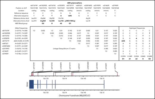 LD matrix and haplotype frequencies at the ABO locus. SNPs shown are discussed in the article (and in supplemental Data). Numerical values in the upper right triangle of the matrix are pairwise LD r2 values. Values for r2 and allele/haplotype frequencies were estimated from European populations available at https://ldlink.nci.nih.gov/?tab=ldmatrix.