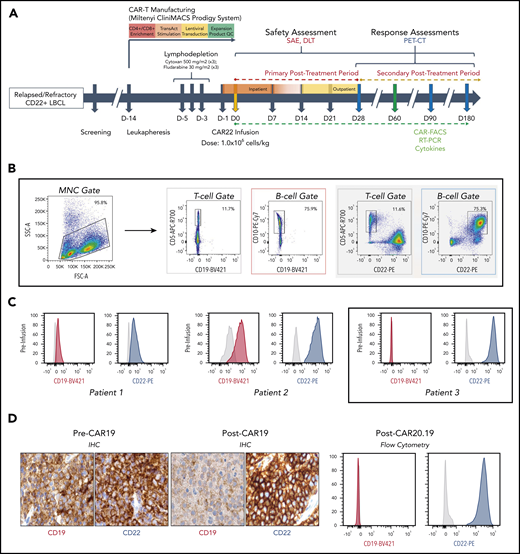 Protocol schema and assessment of target antigen expression CAR22 therapy. (A) Overview of the trial design, including enrollment, manufacturing of autologous CD22-directed CAR T cells, administration of the therapy, and follow-up monitoring. Patients had safety assessments performed and blood samples drawn at each arrow after infusion, for assessment of correlative biomarkers, and underwent clinical and radiographic response assessment at each blue arrow. The green arrow indicates the time period during which CAR-FACS, RT-PCR, and cytokines were collected at all specified time points. (B) Gating strategy and (C) flow cytometry histograms of CD19 and CD22 expression for each patient before CAR22 therapy. After CAR19 therapy, P1 demonstrated preserved CD19 expression, whereas P2 had heterogeneous and downregulated CD19 expression. In all 3 patients, CD22 expression was preserved at high levels. (D) Serial biopsy specimens of P3 showing CD19 downregulation after CAR19 therapy, then complete loss of CD19 expression after CAR20.19 therapy. Original IHC image magnification ×40. Anti-CD19 antibody clone BT51E (murine monoclonal, Leica #PA0843). Anti-CD22 antibody clone FPC1 (murine monoclonal, Leica #PA0249). CAR19, anti-CD19 CAR T-cell therapy; CAR20.19, anti-CD19, anti-CD20 tandem CAR T-cell therapy; CAR-FACS, high dimensional flow cytometry immunophenotyping of peripheral blood, including identification of CAR+ cells; DLT, dose-limiting toxicity; FSC-A, forward scatter area; IHC, immunohistochemistry; MNC, mononuclear cell; PET-CT, composite positron emission tomographic-computed tomographic imaging; qRT-PCR, quantitative reverse transcriptase-polymerase chain reaction for identification of CAR transgene copies in peripheral blood; SAE, severe adverse event; SSC-A, side scatter area.