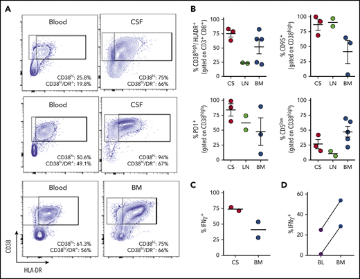 Tissue-infiltrating CD8+T cells in patients with HLH are highly activated, IFN-γ–producing T cells. (A) Representative FACS plots of CD8+ T cells comparing blood and CSF or bone marrow in samples obtained concurrently from 3 different patients. (B) Cumulative data for the indicated markers in samples of CSF (CS), lymph node (LN), or bone marrow (BM) from 10 patients with HLH. CD38high/HLA-DR+ cells are displayed as a percentage of CD3+/CD8+ cells, the other markers are displayed as a percentage of CD8/CD38high/HLA-DR+ cells. (C) Representative FACS plots and cumulative data of intracellular cytokine staining for IFN-γ, as a percentage of CD3+/CD8+ cells in either CSF or bone marrow. (D) Comparison of IFN-γ staining of CD8+/CD38high T cells after stimulation of concurrent peripheral blood (BL) and bone marrow samples from 2 patients.