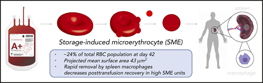 Roussel et al describe the progressive accumulation in stored units of a population of RBCs with reduced size, which accounts for ∼24% of the total RBCs by storage day 42. These SMEs have a mean projected surface area <43 μm2 and are rapidly removed from the bloodstream of the recipient upon transfusion.