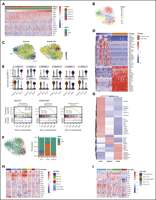 Functional heterogeneity in ETP-ALL reveals deranged developmental hierarchy with coexisting stem-like states and ineffectual lineage commitment. (A) Heatmap demonstrates expression of HSC, MPP, CMP, GMP, CLP, ETP, DN1, DN2, DN2-3, DN3A, DN3B, DN3-4, DN4, and DP signatures as defined by xcell23 in individual leukemic cells. (B) t-SNE plot of all malignant cells using genes involved in HSC, CLP, and CMP progenitor programs. Clusters are derived using the Louvain algorithm. (C) RNA velocities projected on the t-SNE plot containing leukemic cells with root and endpoint cells highlighted (circles). (D) Heatmap depicting the expression of marker genes in the identified root and endpoint cells. (E) Violin plots depicting expression of key marker genes in root cells (top) and endpoint cells (bottom). Gene set enrichment analysis plots depicting the enrichment of HSC signature in root cells (left), differentiating T-lymphocyte signature (middle), and interferon-γ response (right) in endpoint cells. (F) t-SNE plot of leukemic cells colored based on the predicted cell-cycle phase (left), and relative percentage of cell-cycle phase in stacked bar plot for roots and endpoint states (right). (G) Heatmap depicting clustered transcriptional regulons (predicted transcription factor activity based on target gene expression) in root and endpoint cells (“Materials and methods”). (H-I) Heatmaps demonstrate expression of HSC, MPP, CMP, GMP, CLP, ETP, DN1, DN2, DN2-3, DN3A, DN3B, DN3-4, DN4, and DP signatures in ETP-ALL and T-ALL PDX models. *NOTCH1 mutated. #PTEN deleted.