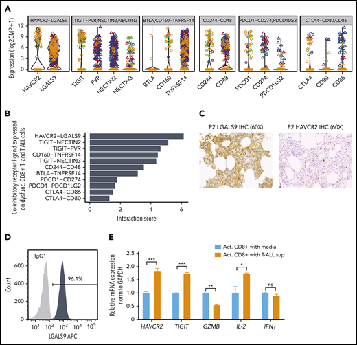 HAVCR2-LGALS9 interactions on dysfunctional CD8+ T cells and leukemic blasts. (A) Violin plots depict expression of coinhibitory receptors (on dysfunctional CD8+ T cells, shown as open circles) and their interacting ligands (on malignant T-ALL cells, depicted as triangles). Colors represent malignant clusters based on PAGODA2 (Figure 1). Each box corresponds to expression of the indicated coinhibitory receptor-ligand combination. (B) Receptor-ligand interaction scores inferred from expression of receptors (in CD8+ T cells) and ligands (in T-ALL cells), respectively, pointing toward prominent HAVCR2-LGALS9 interaction. (C) IHC of LGALS9 and HAVCR2 on bone marrow from representative ETP-ALL patient (P2) demonstrates strong staining of LGALS9 on leukemic blasts and interspersed HAVCR2 staining on microenvironmental cells (magnification ×60). (D) Intracellular immunofluorescent staining of LGALS9 and isotype control in DND-41 T-ALL cells. (E) mRNA expression of T-cell dysfunction markers (HAVCR2 and TIGIT) and effector cytokines (GZMB, IL-2, and IFNγ) on normal donor activated CD8+ T cells cultured with T-ALL supernatant vs control media. *P < .05, **P < .01, ***P < .001, averaged from 3 technical replicates using 2-sided Student t test.