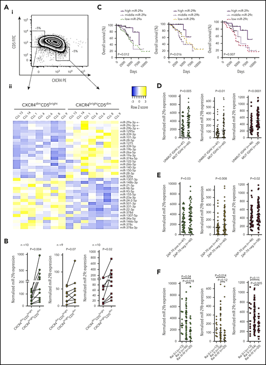 miR-29 levels are downregulated in CXCR4dimCD5bright intraclonal subpopulation and associate with prognosis in CLL. (Ai) Representative example of sorting CXCR4dimCD5bright and CXCR4brightCD5dim CLL cell intraclonal subpopulations using flow cytometry. (Aii) Heatmap of differentially expressed miRNAs (fold-change > 1.5, adjusted P < .0005) in 7 pairs of CXCR4/CD5 sorted subpopulations (purity > 99%; for sample characteristics, see supplemental Table 1). Heatmap was generated from counts per million reads (rows centered to the median of the row). For details on individual miRNA expression see supplemental Table 3. (B) miR-29a/b/c levels analyzed using qRT-PCR in the CXCR4/CD5 sorted subpopulations from primary CLL samples (miR-29a/c, n = 10; miR-29b, n = 9; statistical differences were compared by Wilcoxon matched pairs test). (C) Overall survival is depicted using Kaplan-Meier curves in the CLL cohort (n = 107) divided by terciles of miR-29a/b/c expression (with log-rank test for comparison of low vs high miR-29s levels; miR-29a: HR, 3.1; 95% CI, 1.3-7.4; miR-29b: HR, 3.6; 95% CI, 1.3-10.20; miR-29c: HR, 3.4; 95% CI, 1.4-8.3). (D-F) Expression of miR-29a/b/c and its relationship with clinico-biological features. miR-29a, b, and c expressions were quantified in a cohort of 107 CLL patients (cohort characteristics in Table 1) and correlated to the clinico-biological characteristics such as (D) IGHV mutation status, (E) ZAP-70 expression, and (F) Rai stage (at sampling). The expression level of miR-29c was not available for 3 samples because of technical issues with its quantification. The statistical differences were tested using unpaired t test.