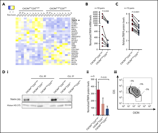 TRAF4 is upregulated in CXCR4dimCD5bright intraclonal subpopulation. (A) Heatmap of differentially expressed mRNAs (fold-change > 2; adjusted P < .0005) in 10 pairs of CXCR4/CD5 sorted subpopulations (purity > 99%; for sample characteristics, see supplemental Table 1). Plotted mRNAs represent an overlap of differentially expressed mRNAs and predicted evolutionary conserved miR-29 targets (TargetScan tool). Samples CLL1, CLL4, CLL6, CLL8, CLL9, and CLL14 are identical to Figure 1A (6 of 7 pairs for miRNA profiling). Heatmap was generated from counts per million reads (rows centered to the median of the row). For details on mRNA expression and miR-29 target prediction see supplemental Table 4. (B) TRAF4 mRNA levels analyzed using qRT-PCR in the CXCR4/CD5 sorted subpopulations from 10 primary CLL samples. Differences were compared by Wilcoxon matched pairs test. (C) Intracellular staining for TRAF4 protein levels in the CXCR4/CD5 subpopulations from 13 CLL samples. Results are presented as the ratio of TRAF4 expression to the isotype control, and the statistical differences were compared by paired t test. (D) The expression of TRAF4 protein in CXCR4dimCD5bright, CXCR4intermediate(int)CD5intermediate(int), and CXCR4brightCD5dim intraclonal cell populations. (i) Representative immunoblot blot analysis of TRAF4 in sorted CXCR4/CD5 subpopulations from 2 patient samples. Histon H3 was used as a loading control. (ii) Statistical analysis of TRAF4 protein levels in the CXCR4/CD5 sorted subpopulations (n = 5). The statistical differences were tested by paired t test, and the error bars indicate the standard error of the mean (SEM). (iii) Representative example of a gating strategy for CXCR4dimCD5bright, CXCR4intermediate(int)CD5intermediate(int), and CXCR4brightCD5dim intraclonal cell populations. The CXCR4intCD5int represents a transitional subpopulation between CXCR4dimCD5bright and CXCR4brightCD5dim cells.
