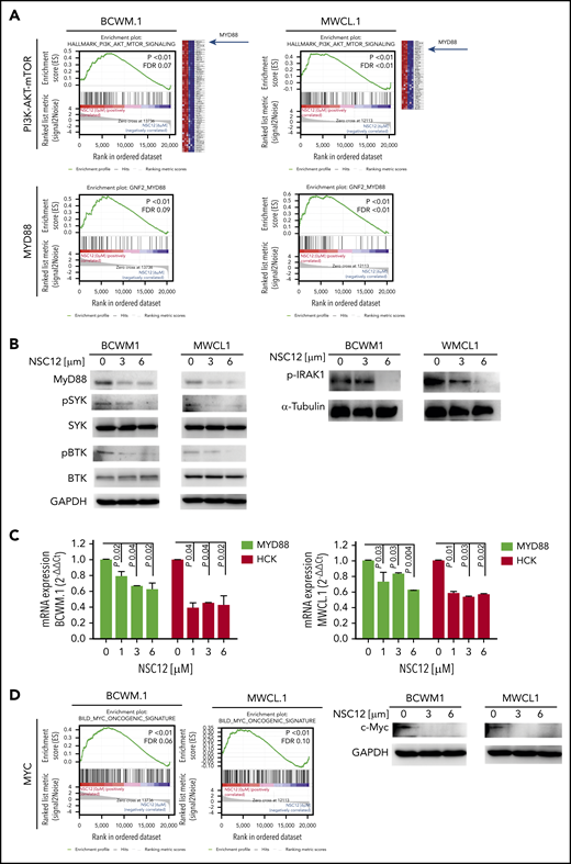 NSC12 mediates inhibition of MYD88 in WM cells. (A) BCWM.1 and MWCL.1 cells were exposed to NSC12 (6 μM) for 12 hours and subjected to wide transcriptome profiling, showing a significant inhibition of PI3K-AKT-mTOR- and MYD88-related gene sets, as shown by performing GSEA (P < .05; FDR < 25%). (B) BCWM.1 and MWCL.1 cells were cultured in the presence or absence of NSC12 (0 to 6 μM; 6 hours). WM cells were then harvested, and cell lysates were subjected to western blot using anti-MYD88, -p-SYK, -SYK, -p-BTK, -BTK, and -GAPDH antibodies. (C) BCWM.1 and MWCL.1 cells were treated with NSC12 (0 to 6 μM; 6 hours), subjected to RNA extraction, and evaluated for MYD88 and HCK mRNA levels by using qRT-PCR (2−ΔΔCt), with normalization to GAPDH (P, P values). (D) BCWM.1 and MWCL.1 cells were cultured in the presence or absence of NSC12 (0 to 6 μM; 6 hours). WM cells were then harvested, and cell lysates were subjected to western blot using anti-c-Myc and -GAPDH antibodies.