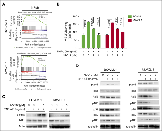 NSC12 targets WM cells by inhibiting NF-κB activity. (A) BCWM.1 and MWCL.1 cells were exposed to NSC12 (6 μM) for 12 hours and subjected to wide transcriptome profiling, showing a significant inhibition of NF-κB signaling-related gene sets, as shown by performing GSEA (P < .05; FDR < 25%). (B) BCWM.1 and MWCL.1 cells were cultured with NSC12 (0 to 6 μM), for 4 hours, and then exposed TNF-α (10 ng/mL) was added for the last 20 minutes. NF-κBp65 transcription factor binding to its consensus sequence on the plate-bound oligonucleotide was studied from nuclear extracts. Wild-type and mutant are wild-type and mutated consensus competitor oligonucleotides, respectively. All results represent means (± SD) of triplicate experiments. (C) BCWM.1 and MWCL.1 cells were cultured in the presence or absence of NSC12 (0 to 6 μM), for 4 hours, and then exposed TNF-α (10 ng/mL) was added for the last 20 minutes. WM cells were then harvested, and cell lysates were subjected to western blot using anti-p-IkBa, -IkBa, and -actin antibodies. (D) BCWM.1 and MWCL.1 cells were cultured in the presence or absence of NSC12 (0 to 6 μM), for 4 hours, and then exposed TNF-α (10 ng/mL) was added for the last 20 minutes. WM cells were then harvested, and nuclear protein lysates were extracted and subjected to western blot using anti-p-p65, -p65, -RelB, -p100, -p52, -p50, -p105, and -nucleolin antibodies.