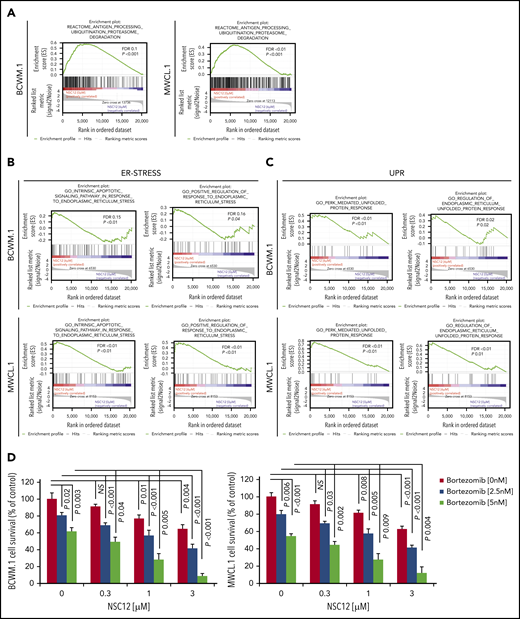 NSC12 leads to enhanced anti-WM activity when used in combination with PIs. (A-C) BCWM.1 and MWCL.1 cells were exposed to NSC12 (6 μM) for 12 hours and subjected to wide transcriptome profiling, showing a significant inhibition of antigen processing ubiquitination proteasome degradation- (A), ER stress- (B), and UPR (C) -related gene sets, as shown by performing GSEA (P < .05; FDR < 25%). (D) BCWM.1 and MWCL.1 cells were treated with NSC12 (0.3 to 3 μM) or bortezomib (2.5 to 5 nM) as single agents, or the combination. Modulation of cell survival at 48 hours was tested on WM cells using MTS assay. Average of triplicate experiments ± SD is shown. P, P value.