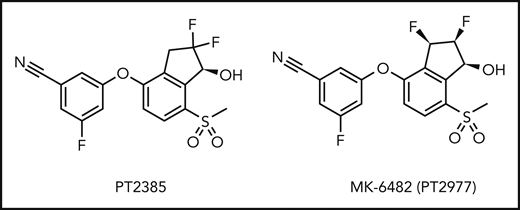 Structures of PT2385 and MK-6482 (also known as PT2977), specific inhibitors of HIF-2α. Structure of the originally designed HIF-2α inhibitor PT2385, which contains the difluoro group in the geminal position, was modified to enhance the pharmacokinetics and efficacy of MK-6482 in which the difluoro group is in the vicinal position.53