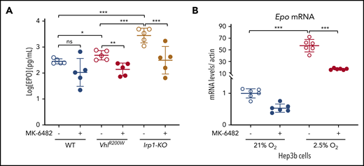 MK-6482 attenuated polycythemia by reducing EPO levels in VhlR200W and Irp1-KO mice and in hypoxic Hep3b cells. (A) Serum EPO levels measured by ELISA were significantly increased in VhlR200W and Irp1-KO mice, but on treatment with the drug, the elevated EPO levels in VhlR200W and Irp1-KO mice decreased to normal WT levels. (B) Epo mRNA levels of Hep3b cells were more than 50-fold higher when grown at 2.5% oxygen concentration than levels grown at atmospheric oxygen concentrations, and the drug treatment significantly reduced the Epo expression levels. *P < .05; **P < .01; ***P < .001, by ordinary 1-way ANOVA (multiple comparisons). ns, not significant.