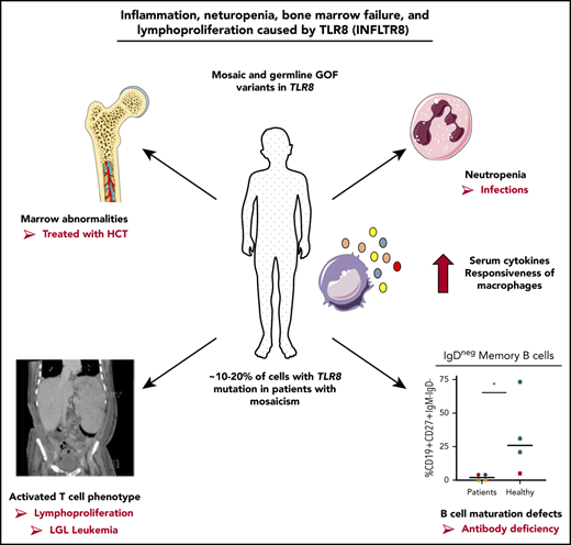 Some images in the graphical abstract were adapted from Servier Medical Art (https://smart.servier.com), provided by Les Laboratoires Servier. They are available for reuse under the CC-BY 3.0 Unported license.