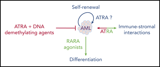 Multiple targeting of AML cell biology by retinoic acid.