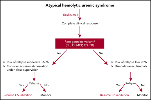 Potential algorithm for discontinuing eculizumab in patients who achieve complete remission.