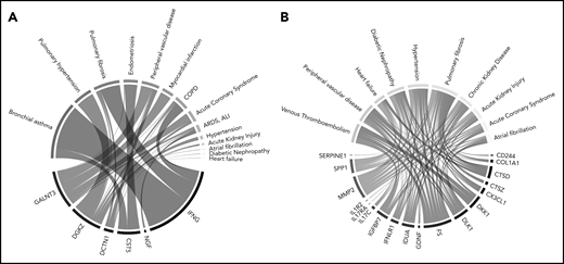 Diseases significantly related to (A) overexpressed and (B) underexpressed isolated PE-related proteins in literature. To generate these Chord diagrams, the same protein selection as was incorporated in the STRING network analysis was used. Connections with specific diseases were made by algorithmically searching PubMed for each protein, and testing which diseases were overrepresented among the search results, determined using a 1-sided Fisher’s exact test. The areas of the connections in these figures are proportional to the –log10-transformed P values derived from these tests. Cancer-related results were filtered because individuals with active cancer are excluded from this analysis.