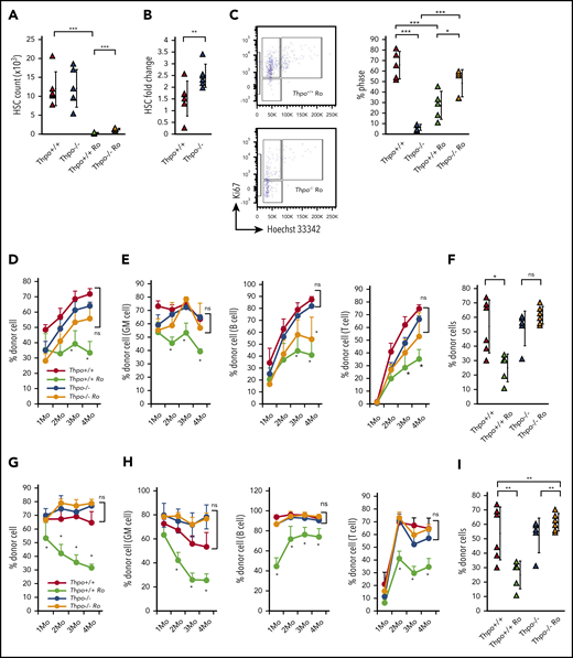 Stem cell phenotype of HSCs from Thpo−/− mice is reversible. (A) PB platelet count fold change in Thpo+/+, Thpo−/−, Thpo+/+ Ro, and Thpo−/− Ro mice (n > 5). (B) Fold change in HSC number in BM (2 femurs and 2 tibias) of Thpo+/+, Thpo−/− with romiplostim treatment. (C) Representative flow cytometric plot of cell cycle analysis Thpo+/+ Ro and Thpo−/− Ro HSCs and percentage of HSCs in the G0 stage in Thpo+/+, Thpo−/−, Thpo+/+ Ro, and Thpo−/− Ro HSCs. (D-F) Primary competitive BM transplantation of 500 HSCs isolated from Thpo+/+, Thpo−/−, Thpo+/+ Ro, or Thpo−/− Ro mice (n = 5). (D) PB chimerism of total mononuclear cells. (E) PB chimerism of GM cells (Mac1+ Gr1+), B cells (B220+), and T cells (CD4+ CD8+). (F) BM chimerism of HSCs (Lin− cKit+ Sca1+ CD48- CD150+ CD34−). (G-I) Secondary competitive BM transplantation of 2 × 106 BM mononuclear cells isolated from recipients of primary BM transplantation. (G) PB chimerism of total mononuclear cells (n = 5). (H) PB chimerism of GM cells, B cells, and T cells (n = 5). (I) BM chimerism of HSCs (n = 5). *P < .05, **P < .01, Student t test (A-B), Fisher’s least significant difference test (C), Tukey test (D-I).