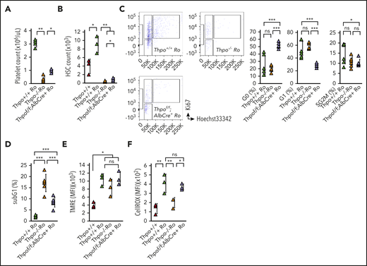Rapid response of HSCs from Thpofl/fl;AlbCre+/− mice to romiplostim. Romiplostim was administered IV to Thpo+/+, Thpofl/fl;AlbCre+/−, and Thpo−/− mice for 5 consecutive days. (A) PB platelet count in Thpo+/+, Thpofl/fl;AlbCre+/− and Thpo−/− mice treated with romiplostim (Thpo+/+ Ro, Thpofl/fl;AlbCre+/− Ro, and Thpo−/− Ro) (n = 5). (B) BM HSC number in Thpo+/+, Thpo+/+ Ro, Thpofl/fl;AlbCre+/− Ro, and Thpo−/− Ro mice (n = 5). (C) Representative flow cytometric plot and percentage of G0, G1, and S/G2/M HSCs in Thpo+/+ Ro, Thpofl/fl;AlbCre+/− Ro, and Thpo−/− Ro mice (n = 5). (D) Percentage of subG1 HSCs in Thpo+/+ Ro, Thpofl/fl;AlbCre+/− Ro, and Thpo−/− Ro mice (n = 5). Mean fluorescence intensity (MFI) of tetramethylrhodamine, ethyl ester staining (TMRE) (E) and CellROX staining (F) in Thpo+/+,Thpo+/+ Ro, Thpofl/fl;AlbCre+/− Ro, and Thpo−/− Ro mice (n = 5). *P < .05, **P < .01, ***P < .001. Student t test (A-B,D-F), Fisher’s least significant difference test (C).