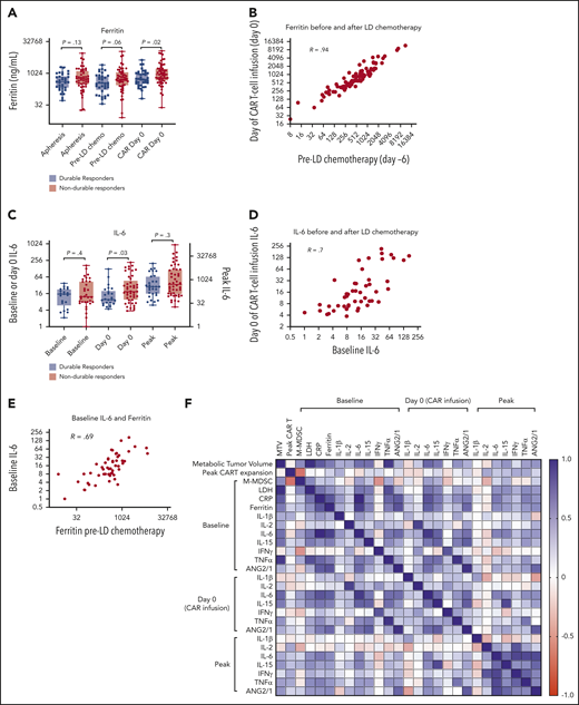 Inflammatory markers persist through LD chemotherapy and associate with NDR. (A) Serum ferritin levels at apheresis (3-4 weeks before infusion; n = 83), day −6 (pre-LD; LD fludarabine/cyclophosphamide chemotherapy; n = 88), and before axi-cel infusion (day 0; n = 93). (B) Correlation (Pearson R) between ferritin values measured both LD and before axi-cel infusion. (C) IL-6 levels measured at baseline (at apheresis or day −6; n = 54), day 0 (n = 70), and the peak level measured in the first 21 days after CAR T-cell therapy (n = 78). (D) Correlation between baseline and day 0 IL-6 levels. (E) Correlation between baseline IL-6 and day −6 ferritin levels. (F) Correlation matrix represented as a heatmap with positive Spearman R values indicated in blue and negative values indicated in red (scale). P values according to nonparametric t test.