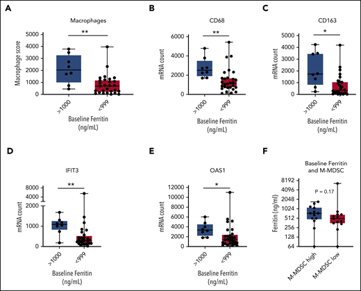 Associations between ferritin, tumor IFN, and M-MDSCs. Baseline tumor biopsy specimens collected within 1 month before axi-cel infusion and analyzed for gene expression by NanoString IO360 (770 genes) with available ferritin data (n = 36). Comparison between patients with a high baseline ferritin value (>1000 ng/mL; n = 8) and a lower value (<999 ng/mL; n = 28). (A-E) Shown are the macrophage score (A), representative macrophage markers CD68 (B) and CD163 (C), and IFN target genes IFIT3 (D) and OAS1 (E). (F) Comparison between patients with a high (>250 cells per mL; n = 13) or low (<250 cells per mL; n = 13) baseline M-MDSC level for ferritin on day −6. P values by nonparametric Mann-Whitney t tests. *P < .05; **P < .01. mRNA, messenger RNA.
