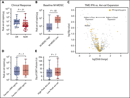 Determinants of peak axi-cel expansion. Peripheral blood mononuclear cells were collected at days 1, 8, and 15, and axi-cel copy number was measured by reverse transcription polymerase chain reaction and copies per μg DNA determined. Peak indicates the highest value identified in that patient. (A) Comparison of peak axi-cel copies per micrograms in peripheral blood between patients with NDR and those with a DR. (B) Comparison of peak axi-cel level between patients with a baseline high peripheral blood M-MDSC level (>250 cells per mL; n = 10) and a lower value (n = 9). (C) Volcano plot showing gene expression by NanoString in baseline tumor biopsy specimens collected within 1 month before axi-cel infusion. Comparison is shown between patients with an above-median peak axi-cel level (>2 × 106 copies per μg; “good expansion”) and those with a lower peak (“poor expansion”). IFN signaling genes are shown as yellow squares; all other genes are shown as gray circles. (D) Comparison of peak axi-cel between patients with a very high baseline ferritin value (>1000 ng/mL; n = 10) and those with a lower value (<999 ng/mL; n = 41). (E) Comparison of baseline IL-6 levels in patients with above-overall median peak axi-cel level (>2 × 106 copies per μg; n = 24) to those with a lower peak (n = 18). P values by nonparametric Mann-Whitney t tests.