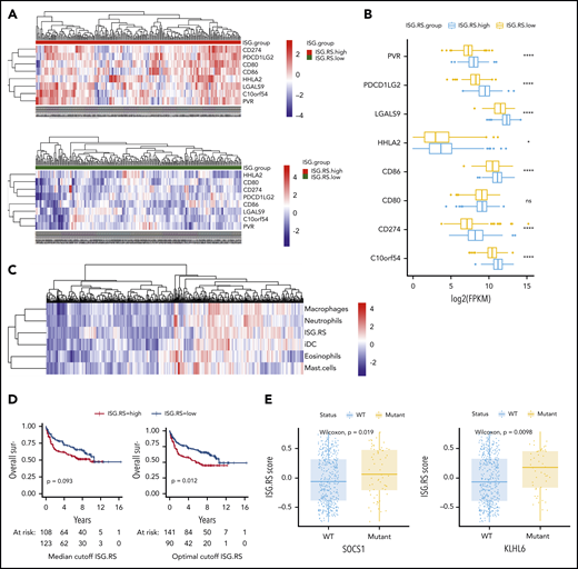 Tumor IFN signaling is associated with the expression of multiple T-cell ligands, myeloid cell signatures, and driver mutations. The NCRCCI-DLBCL data set contains 562 patients, with 475 patients with matched RNA-sequencing and DNA somatic variants data, and survival data for 231 patients treated with R-CHOP–like immunochemotherapy. The ISG.RS signature score was calculated for each patient, and a median score cutoff for the 562 patients was determined to separate ISG.RS high and ISG.RS low groups. (A) Association of ISG.RS with selected T-cell ligands. Top: gene expression of T-cell ligand genes in patients with ISG.RS high. Bottom: ISG.RS low. Included are CD274/PD-L1, PDCD1LG2/PD-L2, CD80/B7-1, CD86/B7-2, HHLA2, LGALS9/Galectin-9, C10orf54/VISTA, and PVR/CD155. (B) Comparison of the median expression of T-cell ligands between ISG.RS high and ISG.RS low. (C) Unbiased clustering of ISG.RS scores with myeloid cell type scores determined by gene set variation analysis. (D) Overall survival of 231 patients treated with R-CHOP stratified according to ISG.RS high vs low. Left: overall survival using the median cutoff as in panels A and B. Right: overall survival using an optimal cutoff (survminer R package). P value by log-rank test. (E) Association of ISG.RS scores with driver mutations. Left: comparison between SOCS1 wild-type (WT) and mutant patients according to ISG.RS score. Right: comparison between KLHL6 WT and mutant according to ISG.RS score. ****P < .0001.