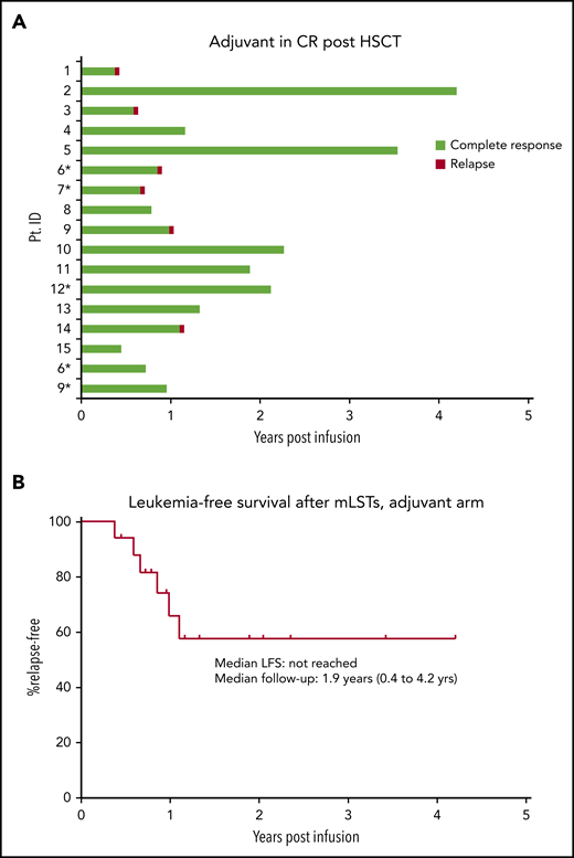 Clinical outcomes: adjuvant arm. (A) Swimmer plots depicting outcomes after infusion of mLSTs in patients with AML/MDS who were in remission at the time of infusion. *Individuals who relapsed after HCT but were in morphological remission at the time of T-cell infusion. (B) Kaplan-Meier estimates of LFS in the adjuvant group.