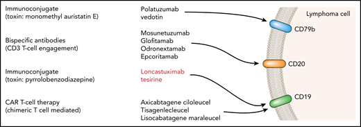 Schematic summary of a range of antibody-targeted therapies in lymphoma.