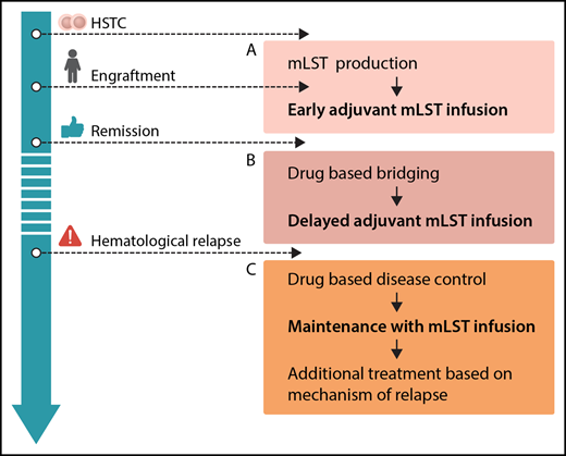 Options for integration of mLSTs into multimodal concepts for prevention and treatment of leukemia relapse after hematopoietic stem cell transplantation (HSCT): production before HSCT or during engraftment, allowing for early adjuvant mLST infusion (A), drug-based bridging after engraftment until delayed adjuvant mLST infusion (B), and combining drug-based disease control of overt hematological relapse, followed by maintenance with mLST infusion and additional treatment based on the mechanism of relapse (C). Professional illustration by Somersault18:24.