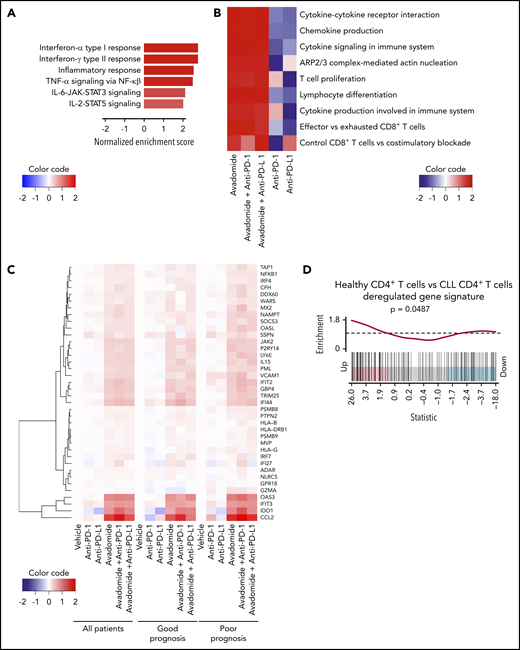 Avadomide induces IFN type I and II signaling in patient T cells encompassing activation, exhaustion, and cytotoxicity and normalizes deregulated IFN and chemokine gene expression in previously exhausted T cells. (A) Top differential hallmark pathways between vehicle and avadomide treatment. Normalized enrichment scores (NES) represent the mean score over avadomide-treated samples, with positive scores indicating upregulation with avadomide treatment relative to vehicle control. (B) Heatmap of top immune pathways enriched by avadomide treatment, shown under multiple treatment conditions. Cell colors indicate mean NES for each pathway, indicating directionality and strength of the gene pathway changes. (C) Heatmap of selected IFN genes deregulated by avadomide treatment shown under multiple treatment conditions for multiple patient subsets indicated. Cell colors indicate the mean log fold change of expression compared with vehicle control, with positive values (red) or negative values (blue) indicating upregulation or downregulation respectively compared with vehicle. (D) Barcode enrichment plot for a gene signature upregulated in age-matched healthy donor CD4+ T cells compared with CLL patient CD4+ T cells (GSE8835_HEALTHY_VS_CLL_CD4_TCELL_UP) that is significantly upregulated by avadomide treatment. These data support normalization of deregulated IFN gene expression in previously exhausted patient T cells toward a healthy T-cell transcriptome profile.