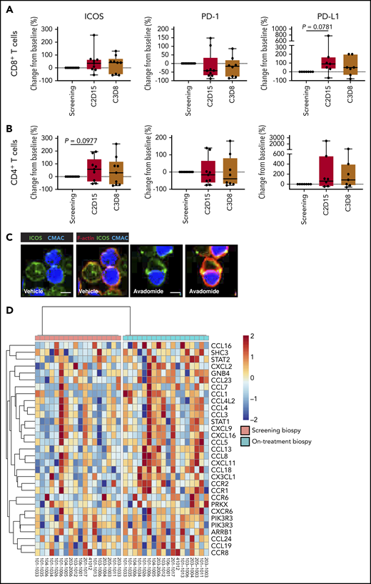 In vivo avadomide-based therapy effect on immune activation in peripheral blood and tumor biopsies. Immunophenotyping flow cytometric measurements for ICOS, PD-1, and PD-L1-positive (A) CD8+ T cells and (B) CD4+ T cells from the peripheral blood of CLL patients (n = 7-9) treated with avadomide and obinutuzumab therapy. Cycle 2, day 15, and cycle 3, day 8 data are compared with baseline (screening blood samples analysis). (C) Representative cropped medial optical section confocal images of CD8+ T-cell conjugates with autologous CLL tumor cells (blue) showing increased ICOS (green) at F-actin (red) immune synapses with avadomide treatment. Original magnification, ×63 (scale bars: 10 μm). (D) RNA-seq was performed on paired lymph node tissue biopsies from 18 R/R DLBCL patients at screening (baseline) and following avadomide therapy (on-treatment, cycle 1, day 10/15) (clinical trial: NCT01421524). The heatmap shows the relative expression and significant enrichment (P < .05) of chemokine signaling pathway genes (KEGG_CHEMOKINE_SIGNALING_PATHWAY) following avadomide therapy in DLBCL.
