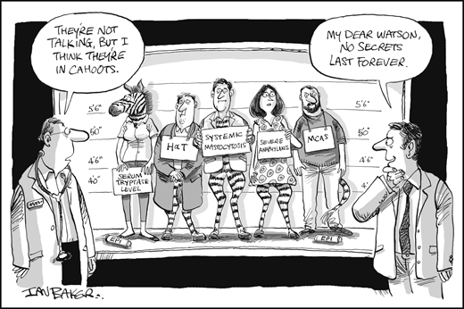 New evidence is shedding light on the relationship between HαT, clonal MC diseases, and severe mediator symptoms such as anaphylaxis. EPI, epinephrine. Professional illustration by Ian Baker; figure conceived by Jason Gotlib.