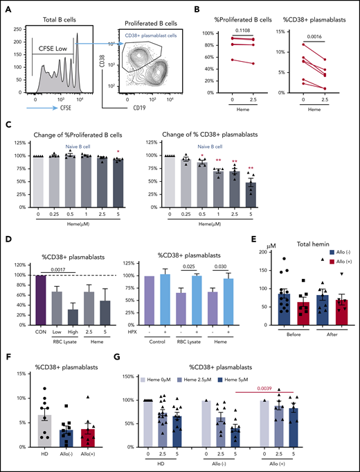 Heme inhibits B-cell activation. Purified naïve B cells from HDs were CFSE labeled and stimulated with B-cell activation cocktail for 7 days. (A-B) By using the gating strategy for analysis of proliferated B cells and CD38+ plasmablasts (A), we showed the frequency of proliferated B cells in total B cells and of CD38+ plasmablasts in the absence or presence of 2.5 μM heme (B). (C) Fold change in proliferated B-cell and CD38+ plasmablast frequencies in the presence of increasing doses of heme relative to no heme treatment. (D) Fold change in CD38+ plasmablast frequencies in the presence of different doses of RBC lysate or heme (left) or a given RBC lysate dose or 2.5 μM heme preincubated or not with 2.5 μM hemopexin (HPX; right). (E) Cell-free heme levels just before transfusion or within 4 hours after transfusion in plasma from allo-positive and allo-negative SCD patients. (F) CD38+ plasmablast frequencies in stimulated naïve B cells from HDs and allo-positive and allo-negative SCD patients. (G) Fold change in CD38+ plasmablast frequencies in the presence of 2.5 μM or 5 μM heme. Data represent means ± standard error of the mean. *P < .05; **P < .01. CON, control.