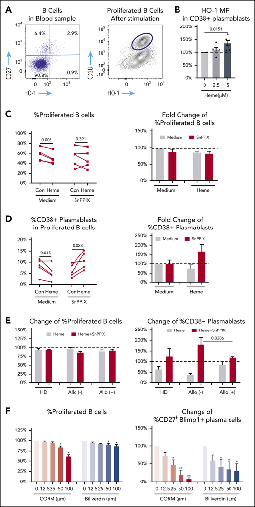 Role of HO-1 enzyme activity in heme-mediated B-cell activation. (A) HO-1 analysis of HD unstimulated peripheral blood B cells (left) and after 7-day stimulation of purified naïve B cells in proliferated B cells (gate showing CD38+ plasmablasts). (B) Fold change in HO-1 expression in plasma cells in 7-day stimulated purified HD B cells treated with 2.5 μM or 5 μM heme relative to no heme treatment. (C-D) Absolute and fold change of frequency of B-cell proliferation (C) and CD38+ plasmablasts in the presence of SnPPIX (2.5 μM) without or with (2.5 μM) heme (D). (E) Fold change in B-cell proliferation and CD38+ plasmablasts 7-day stimulated naïve B cells from allo-positive and allo-negative SCD patients in the absence or presence of SnPPIX (2.5 μM) and heme (2.5 μM) relative to untreated media control (Con). (F) Fold change in B-cell proliferation and plasma B cells in 7-day stimulated HD naïve B cells in the presence of different doses of heme degradation byproducts, carbon monoxide releasing molecule 3 (CORM-3) and biliverdin, relative to untreated cultures. Data represent means ± standard error of the mean. *P < .05; **P < .01.