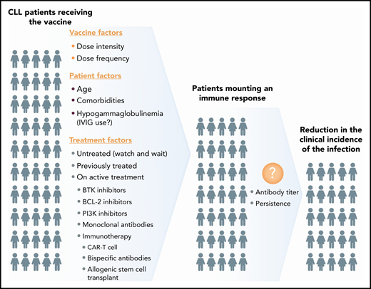 Variables to consider when studying the efficacy of COVID-19 vaccine in patients with CLL. IVIG, intravenous immunoglobulin.