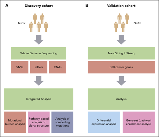 Overview of the study. (A) Discovery cohort (CHOP-O study). Paired PB-CLL (FF) and RS (FFPE) samples. (B) Validation cohort (patients with RS). Paired nodal CLL (FFPE) and RS (FFPE) samples. SNVs, InDels, and CNAs were identified in pairs of peripheral blood CLL (PB-CLL) and Richter diagnostic biopsies (tissue-RS) (from 17 CHOP-O patients)21 using whole-genome sequencing. Based on these data, we conducted integrated analysis of mutational burden, analysis of clonal structure, and analysis of noncoding mutations. We validated our findings through differential gene expression and gene-set enrichment analysis on transcriptomic data from an independent cohort of 12 subjects with RS.