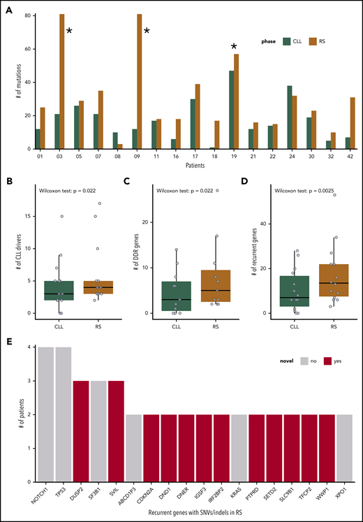 SNVs, InDels, and CNAs in the cohort of 17 patients with R. (A) Number of SNVs and InDels in the PB-CLL versus the tissue-RS in each of the 17 patients. CH1003, CH1009 and CH1019 (indicated with asterisk) appear as outliers due to an increased mutational burden and were excluded from downstream analysis. (B-D) Number of genes per sample harboring a SNV/InDel or CNA in the PB-CLL compared with the tissue-RS. Three groups of genes are illustrated: CLL drivers (B), DDR (C), and recurrent (D) genes. Statistics are as follows: (B) 2-sided Wilcoxon signed-rank test with continuity correction (P = .022; Δm = 2.5; 95% CI, 1.5-5.0); 2-sided paired Student t test after applying a Blom transformation (P = .010; Δm = 0.46; 95% CI, 0.13-0.80); (C) 2-sided Wilcoxon signed-rank test with continuity correction (P = .022; Δm = 3.0; 95% CI, 1.5-12.0); 2-sided paired Student t test after applying a Blom transformation (P = .018; Δm = 0.56; 95% CI, 0.12-1.00); (D) 2-sided Wilcoxon signed-rank test with continuity correction (P = .0025; Δm = 5.5; 95% CI, 2.5-12.5); 2-sided paired Student t test after applying a Blom transformation (P = .0030; Δm = 0.64; 95% CI, 0.26-1.00). (E) Recurrent genes carrying a SNV or InDel in at least 2 RS patients. Genes not previously implicated in the transformation to RS are in red.