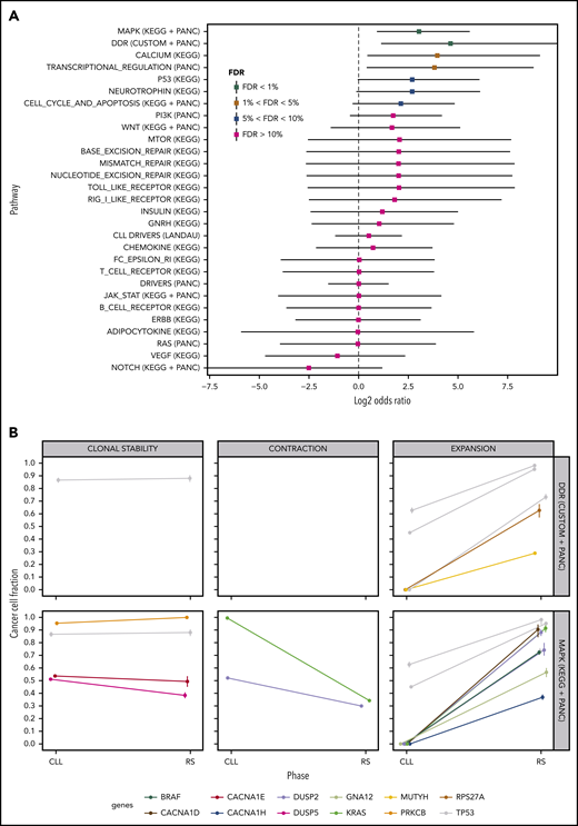 Pathway-based clonal analysis. (A) For each pathway, we give the mean and 95% credible intervals of the ratio (P1(1 − P2)) / ((1 − P1) P2) (in log2 scale), where P1 is the probability given the data that the pathway harbors a mutation that clonally expands (ie, its CCF shows a significant increase) in the transition from PB-CLL to tissue-RS. Similarly, P2 is the probability given the data that the pathway harbors a mutation that clonally contracts in the transition to RS. Pathways with FDR < 5%, are highly likely to harbor clonally expanding (rather than contracting) mutations during transformation to RS. (B) Clonal transition events in the gene sets with FDR < 1%, that is, DDR genes and the MAPK-signaling pathway. Each line corresponds to a single SNV or InDel. The color encodes the gene harboring the corresponding mutation (shown at the bottom of the graph).
