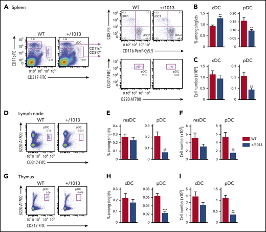 Cxcr4+/1013 mice show a reduced pDC pool in the spleen, LNs, and thymus. (A) Representative dot plots show the gating strategy for cDC1 (CD11chiCD317−CD11b−CD8+), cDC2 (CD11chiCD317−CD11b+CD8−), and pDC (CD11cloCD317+B220+) identification in the spleens from Cxcr4+/1013 (+/1013) and littermate Cxcr4+/+ (WT) mice. The percentages of cDCs, CD11cloCD317+ cells, and pDCs among singlets and cDC1 and cDC2 among DCs are indicated. (B-C) Spleen cDCs and pDCs frequencies (B) and numbers (C) were determined by flow cytometry (n = 17 mice/group from 7 experiments). (D,G) Representative dot plots showing pDC gating in inguinal LNs (D) and the thymus (G) from +/1013 and WT mice. (E-F) Resident cDC (resDC, CD11chiCD317−MHCII+) and pDC (CD11cloCD317+B220+) frequencies (E) and numbers (F) in inguinal LNs from +/1013 and WT mice (n = 12-13 mice/group from 5 experiments). (H-I) cDC (CD11chiCD317−) and pDC (CD11cloCD317+B220+) frequencies (H) and numbers (I) in thymuses from +/1013 and WT mice (n = 7-8 mice/group from 3 experiments). Bar graphs show the mean ± SEM. Mice had a C57BL/6J genetic background. Statistical analysis was performed using the 2-tailed, unpaired Mann-Whitney test. *P < .05, **P < .01, ***P < .001.