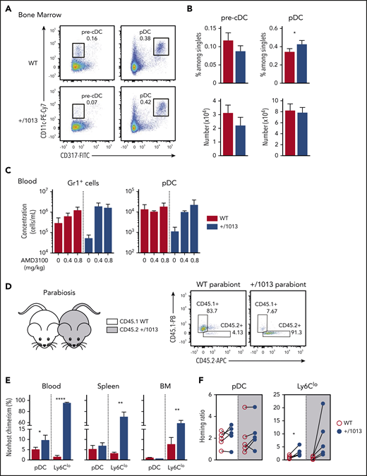The peripheral pDC defect in Cxcr4+/1013 mice results from impaired CXCR4-dependent pDC egress from BM. (A) Representative dot plots showing the gating strategy to identify pre-cDCs (CD11cloCD317− gated on live CD4−CD8−B220−CD11b+MHC2−/int cells) and pDCs (CD11cloCD317+ among live B220+ cells) in the BM of +/1013 and WT mice. (B) Pre-cDC and pDC frequencies (top bar graphs) and numbers (bottom bar graphs) in the BM of +/1013 and WT mice (means ± SEM, n = 7-8 mice from 4 experiments for pre-cDC, n = 17 mice/group from 6 experiments for pDC frequency, n = 10-11 mice from 4 experiments for pDC number). (C) Numbers of blood pDCs and Gr1+ cells assessed 2 hours after intraperitoneal injection of AMD3100 or phosphate-buffered saline (mean ± SEM, n = 3 mice/group, 1 representative experiment of 2). (D-F) Parabiosis experiments were performed with CD45.1 Cxcr4+/+ (WT, left parabiont) and CD45.2 Cxcr4+/1013 (+/1013, right parabiont) mice. Blood, spleen, and BM were analyzed 8 weeks later. (D, right) Representative dot plots showing CD45.1 and CD45.2 expression in blood pDCs from WT and +/1013 parabionts. (E) Nonhost chimerism in the blood, spleen, and BM from each parabiont. pDC was defined as live CD3−Ly6G−CD11b−CD115−CD11cloCD317+Ly6C+B220+ cells and Ly6Clo monocytes as live CD3−B220−Ly6G−CD115+CD11b+CD317−Ly6Clo cells. (F) Spleen/blood ratios of WT and Cxcr4+/1013 pDCs and Ly6Clo monocytes calculated for the spleen of WT (white background) and Cxcr4+/1013 (gray background) parabionts (mean ± SEM, n = 5 pairs of mice). Mice had a C57BL/6J genetic background. Statistical analysis was performed using the paired t test. *P < .05, **P < .01, ****P < .001.