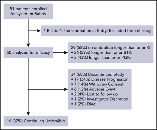Patient disposition.