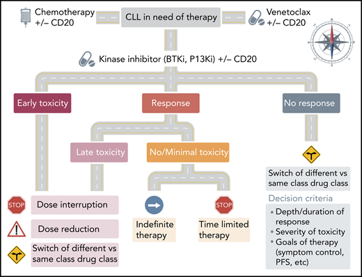 Roadmap for use of KIs in CLL. The decision to continue or switch KI therapy in CLL is based on the severity and timing of previous toxicity and quality of response. In patients with early toxicity or responding patients who have delayed non–life-threatening AEs, consideration can be given to dose interruption or reduction. In patients who progress or develop severe or chronic toxicity, alternate class or alternate target inhibitor should be considered.